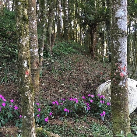 Chales Vila Flor Gonçalves Eksteriør billede